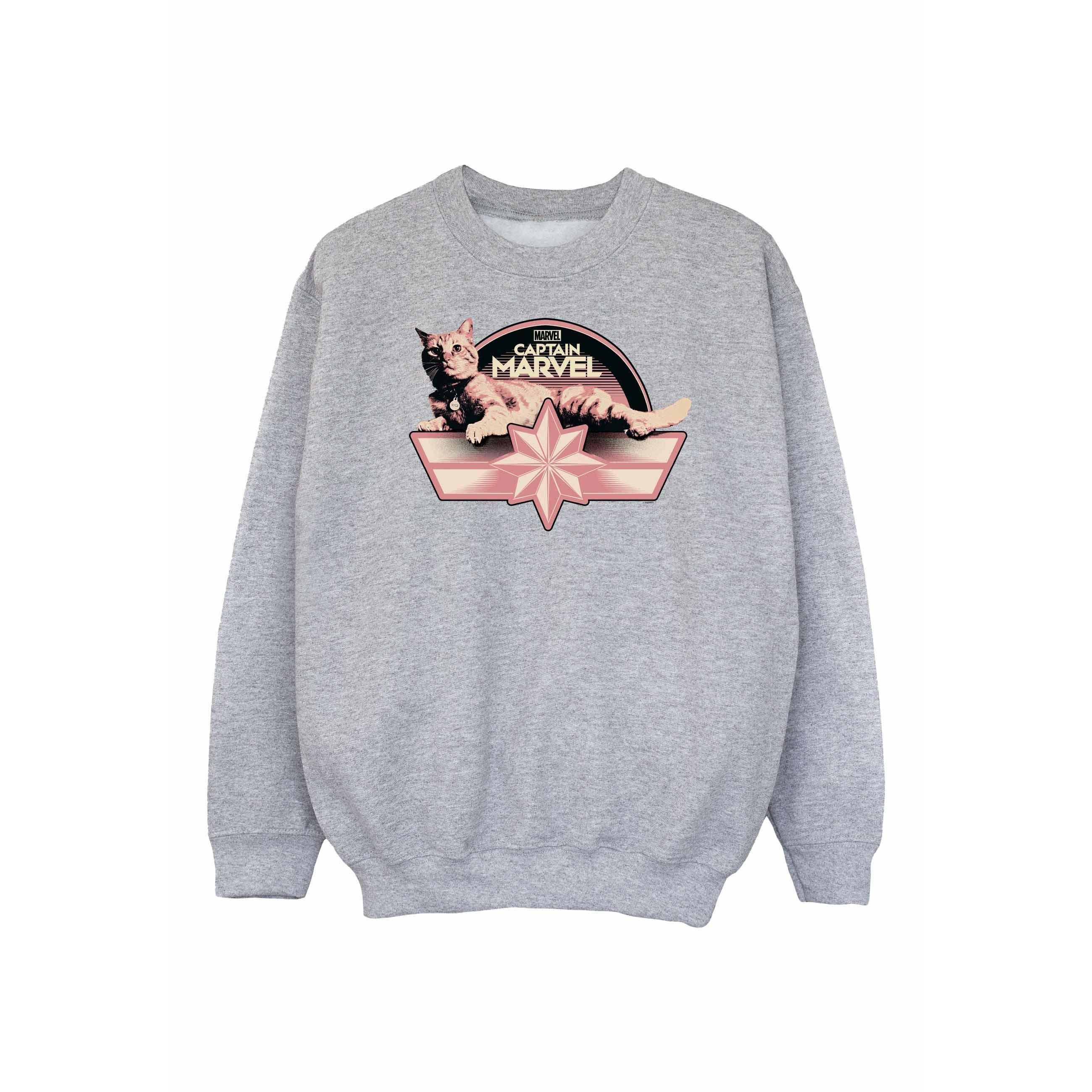 Image of Captain Chillin Goose Sweatshirt Mädchen Grau 128