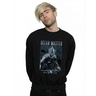 DC COMICS  Sweatshirt 