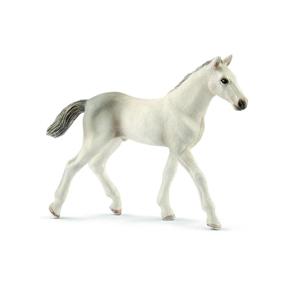 Image of Horse Club Holsteiner Fohlen Unisex