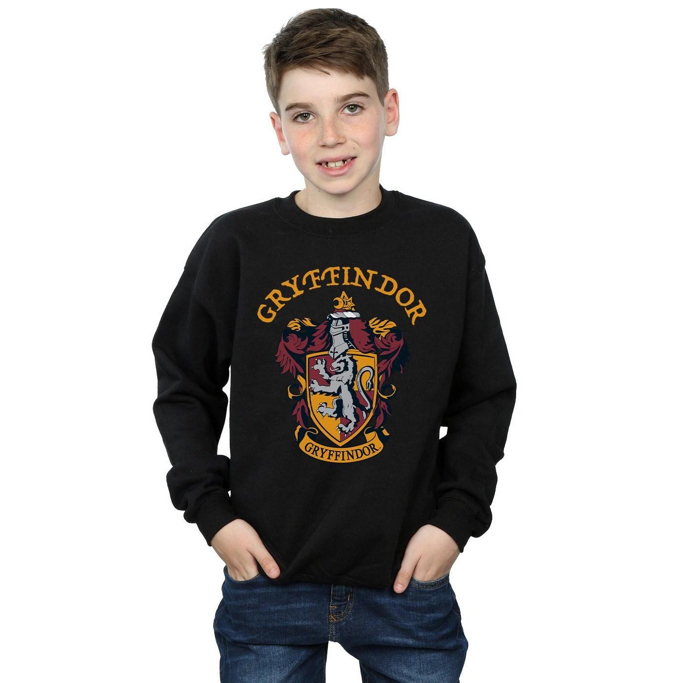 Harry Potter  Sweatshirt 