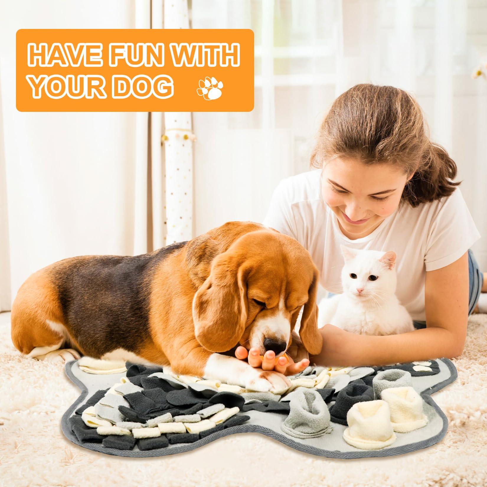 Activity-board  Tapis de reniflage pour chiens et chats 