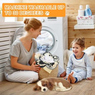 Activity-board  Tapis de reniflage pour chiens et chats 