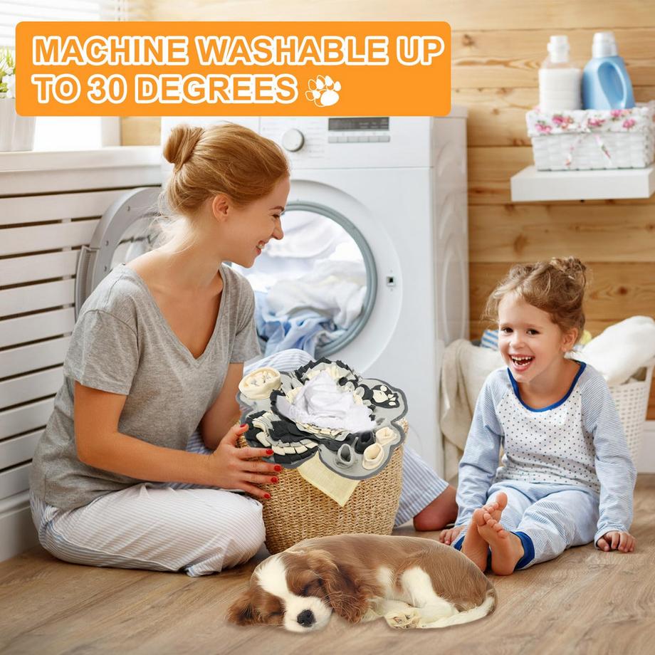 Activity-board  Tapis de reniflage pour chiens et chats 