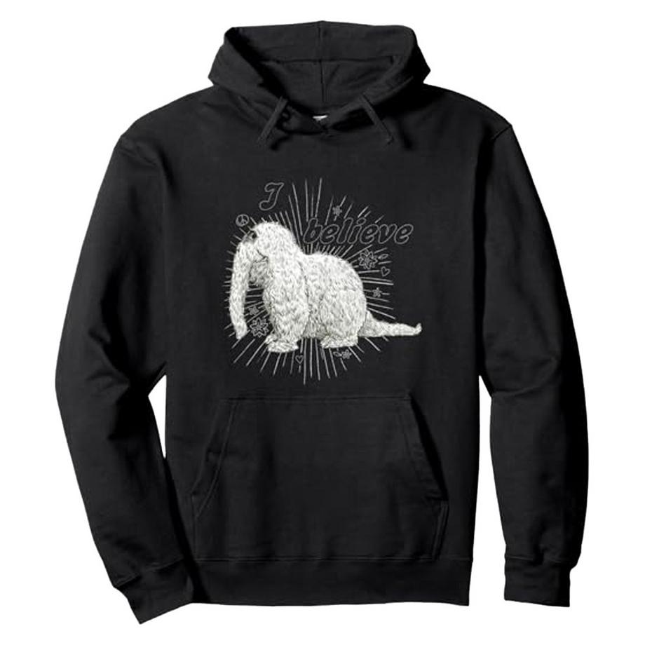 I Believe Kapuzenpullover