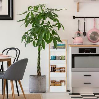 B2X Badezimmerregal mit 4 Ablagen  