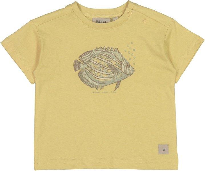 Image of Baby T-shirt Fisch Unisex Gelb 68