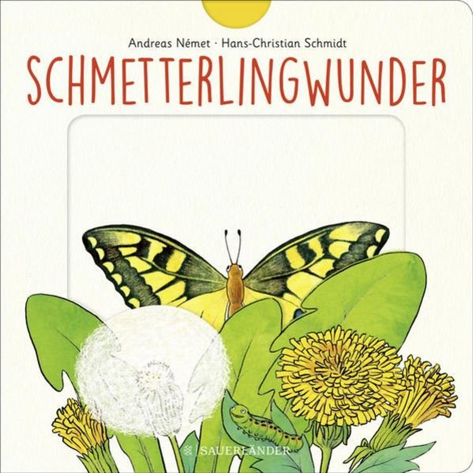 Schmetterlingwunder Hans-Christian Schmidt Copertina rigida 
