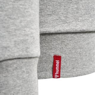 Hummel  kapuzenpullover, daen huel red heavy 