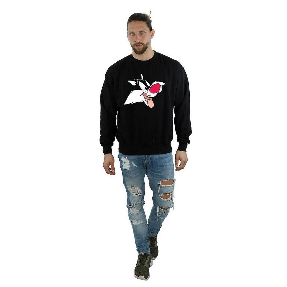 LOONEY TUNES Sylvester Imprimé Graphique Sweatshirt  