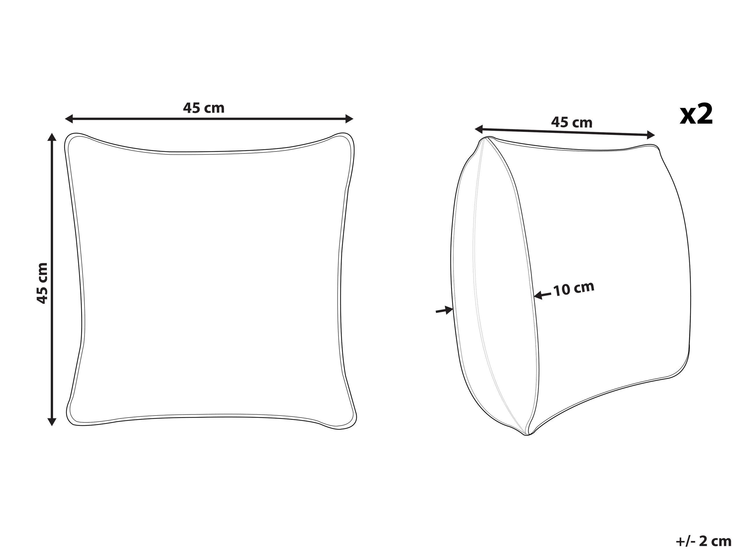 Beliani Lot de 2 coussins décoratifs en Velours Traditionnel MONTBRETIA  