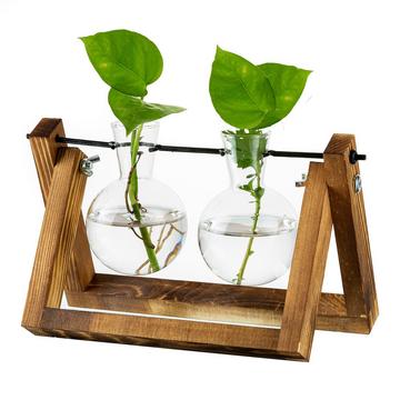 Station de propagation pour plantes, vase à ampoules avec support en bois, pot de fleurs en verre d'intérieur pour décoration de table, accessoires vintage de bureau à domicile, 2 ampoules