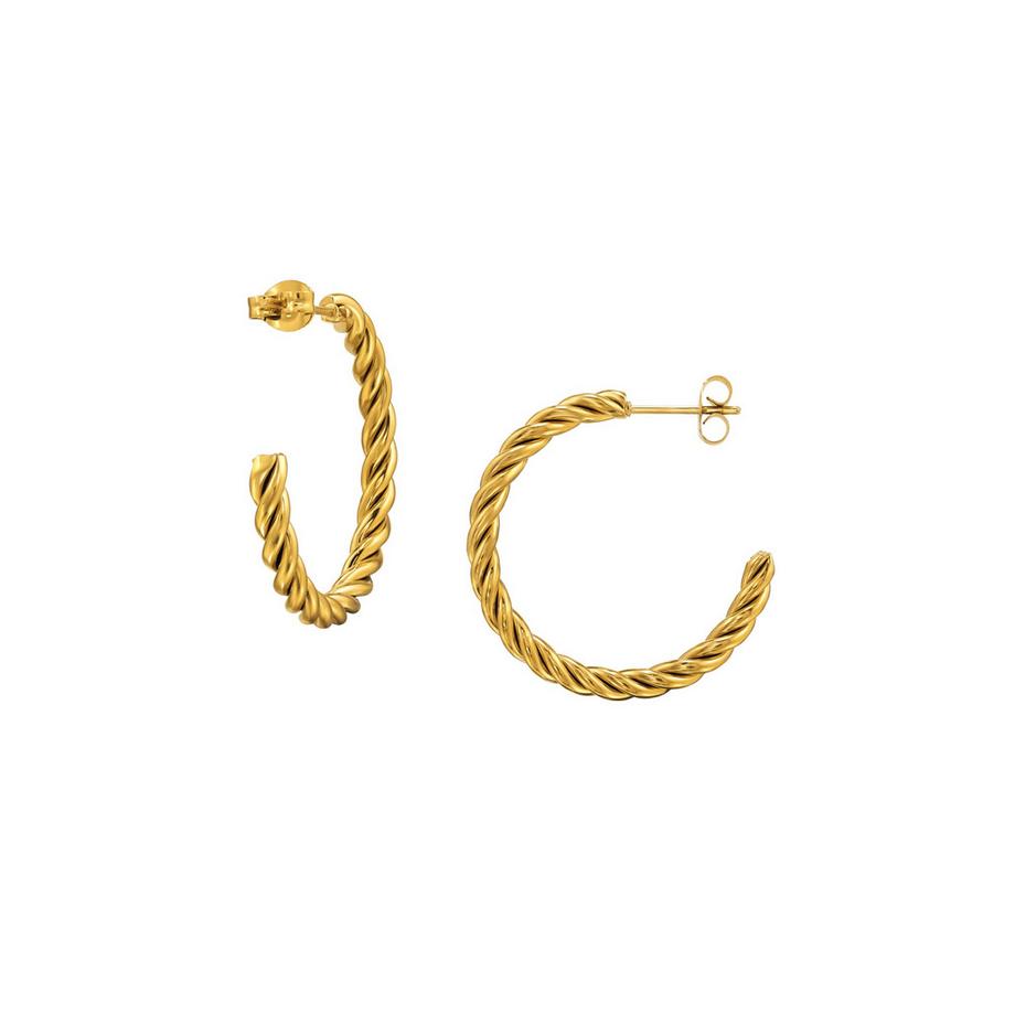 Puces d'eilles DemiCréoles Tsadées en