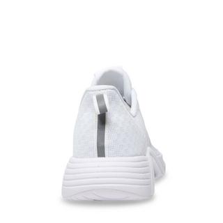 STEVE MADDEN  sneakers nikolas 