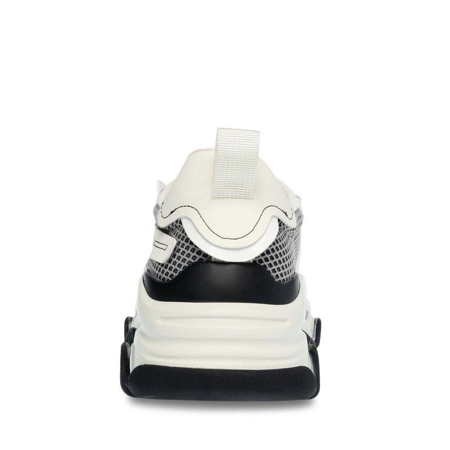 STEVE MADDEN  baskets possession-e 