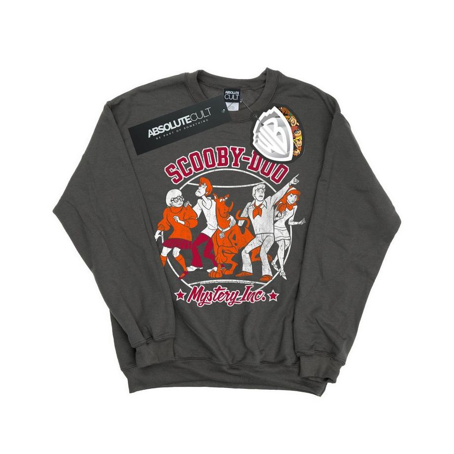 Collegiate Circle Sweatshirt
