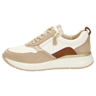 Sioux  Sneaker Segolia-705-J 