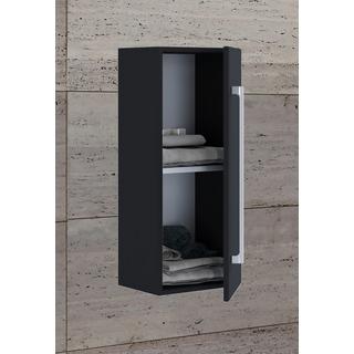 VCM Holz Holz Wandregal | Midischrank | Maße: H. 75 x B. 33 x T. 22 cm |  1 hohe Tür - Badinos D  