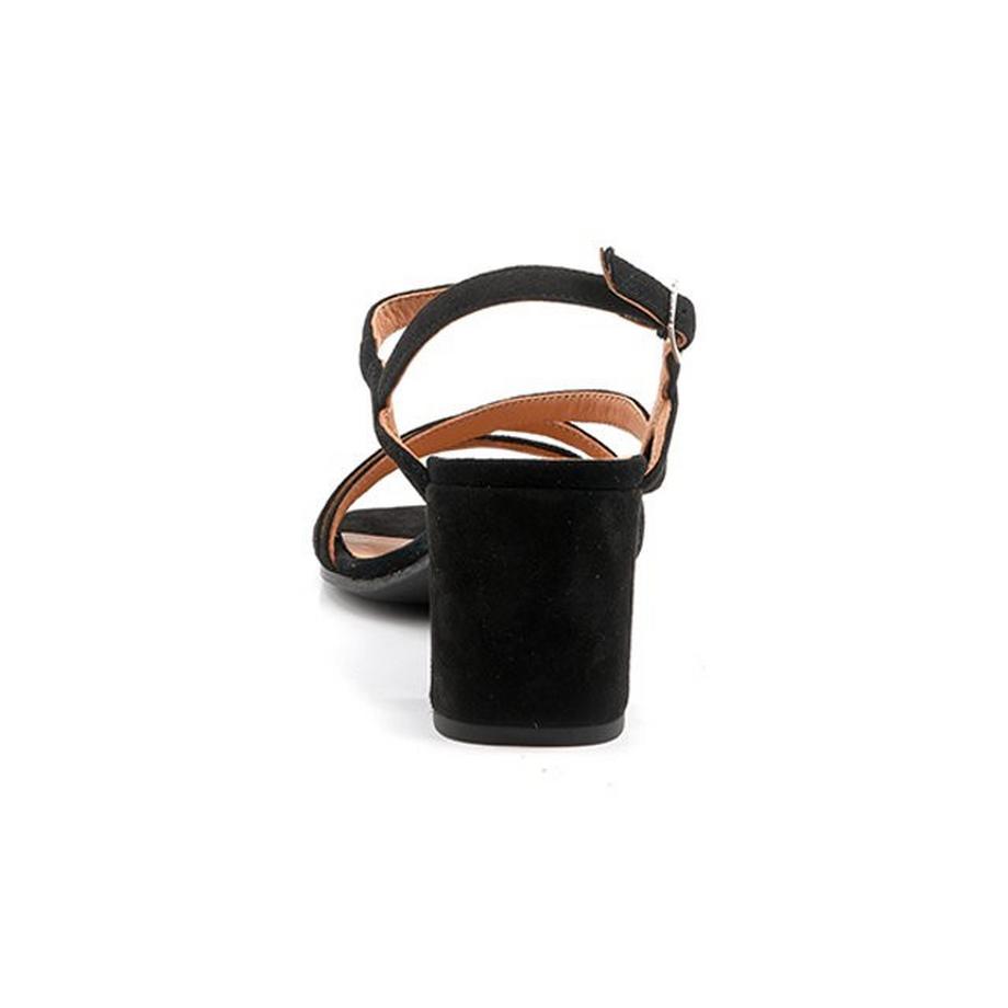 Ralph Harrison  Star-37 