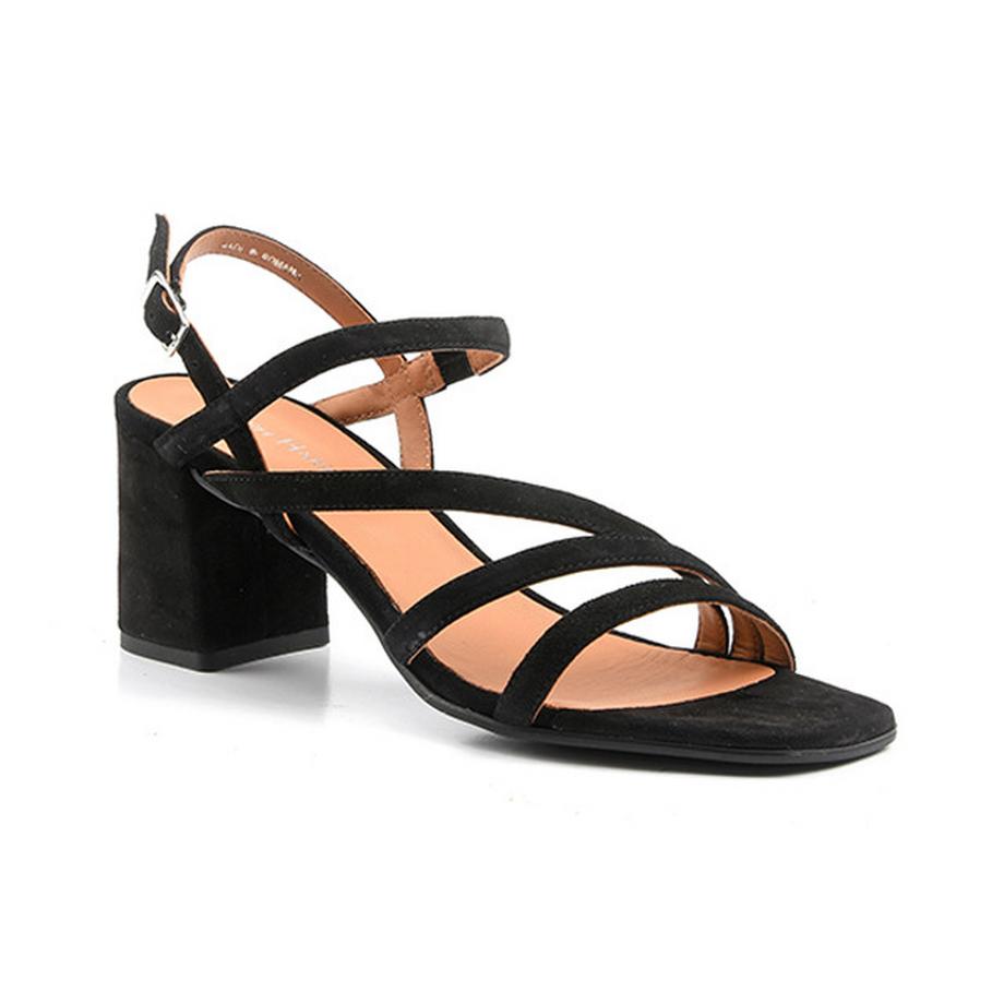 Ralph Harrison  Star-37 