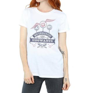 Harry Potter  Quidditch At Hogwarts TShirt 