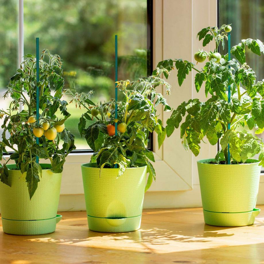 Northio Bastoncini per fiori da 60 cm in set da 50  