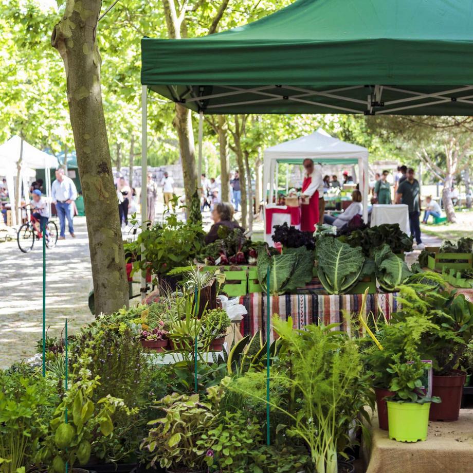 Northio Bastoncini per fiori da 60 cm in set da 50  