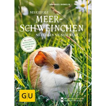 Neugierige Meerschweinchen