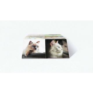 Remember  Gedächtnisspiel 44 Cats in der Magnetbox 