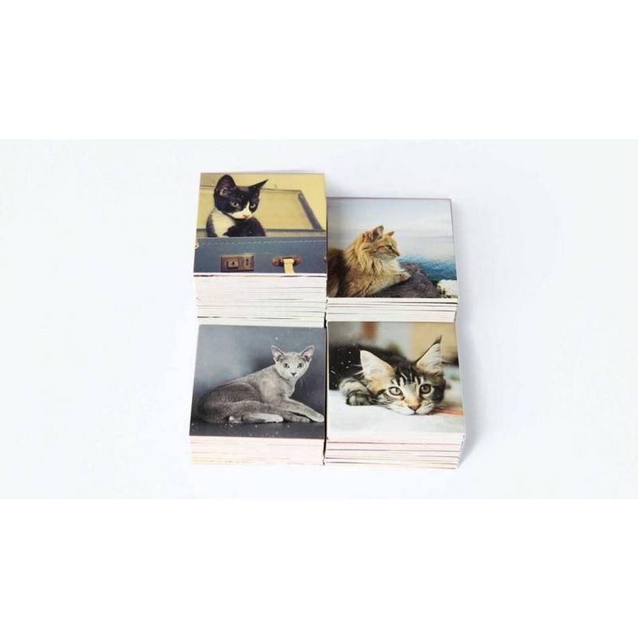 Remember  Gedächtnisspiel 44 Cats in der Magnetbox 