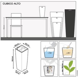 Lechuza Premium Collection CUBICO Alto all-in-one  