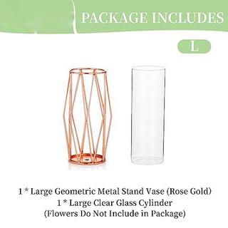 Alopini Vase Für Pampasgras, Glas Roségold Vase Hochbodenvase Mit Geometrischem Metallgestellständer  