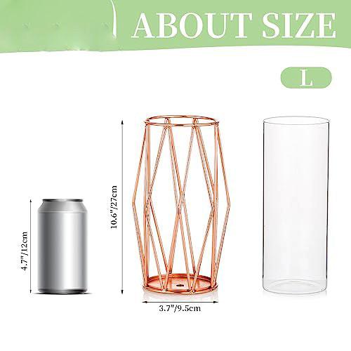 Alopini Vase Für Pampasgras, Glas Roségold Vase Hochbodenvase Mit Geometrischem Metallgestellständer  