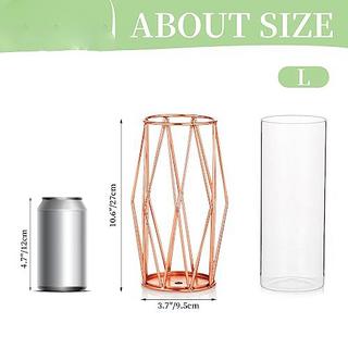 Alopini Vase Für Pampasgras, Glas Roségold Vase Hochbodenvase Mit Geometrischem Metallgestellständer  