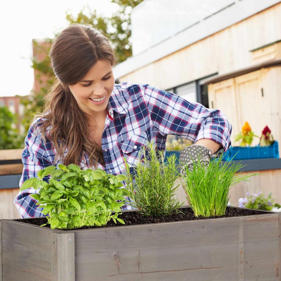 B2X Letto rialzato Legno Grigio  