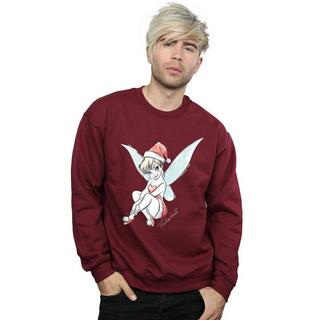 Disney  Fairy Sweatshirt 