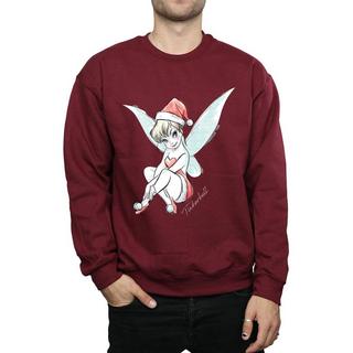 Disney  Fairy Sweatshirt 