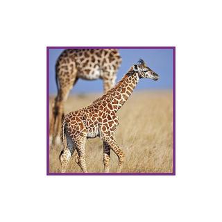 Ambassador  Puzzle Giraffen (100Teile) 