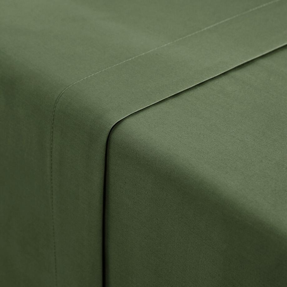 La Redoute Intérieurs Drap plat Scenario  