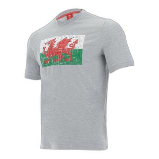 macron  t-shirt cotone pays de gaes rugby xv 2020/21 