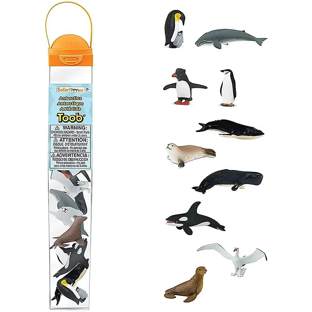 Image of Toob Tiere der Antarktis (10Teile) Multicolor