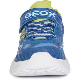 GEOX  Sneaker Assister 