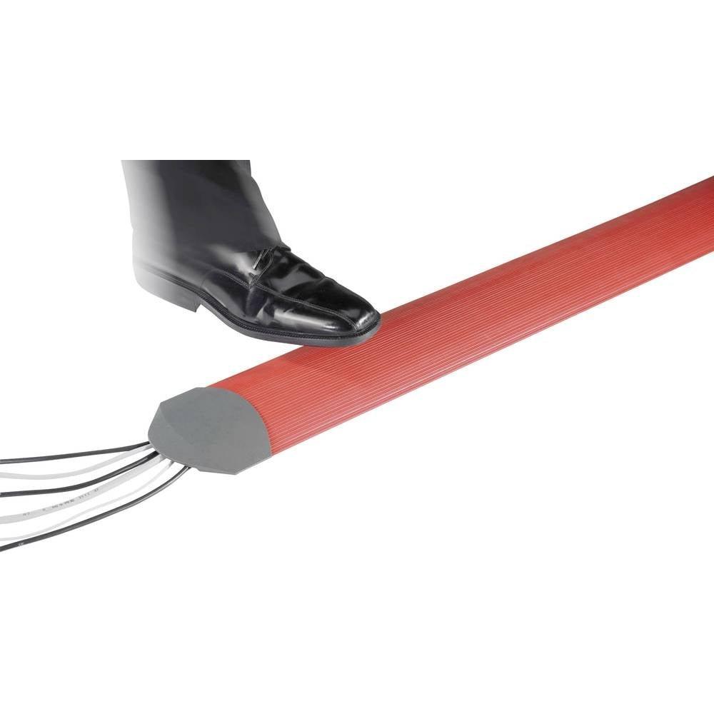 Image of Kabelbrücke B15