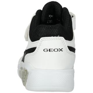 GEOX  Sneaker 