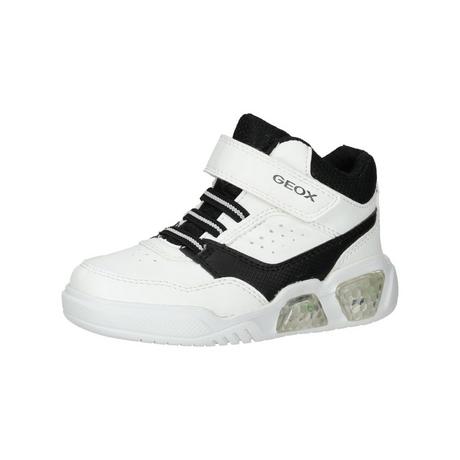 GEOX  Sneaker 