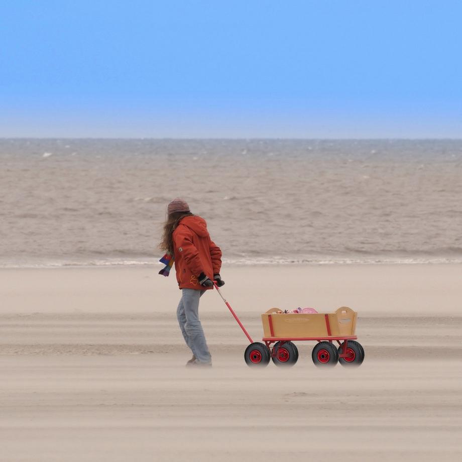 B2X  Roues de brouette 2 pièces 