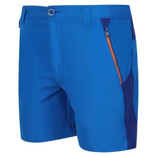 Regatta  Sorcer Mountain III Shorts 