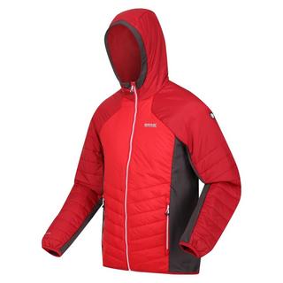 Regatta  Veste softshell TRUTTON 