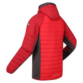 Regatta  Veste softshell TRUTTON 