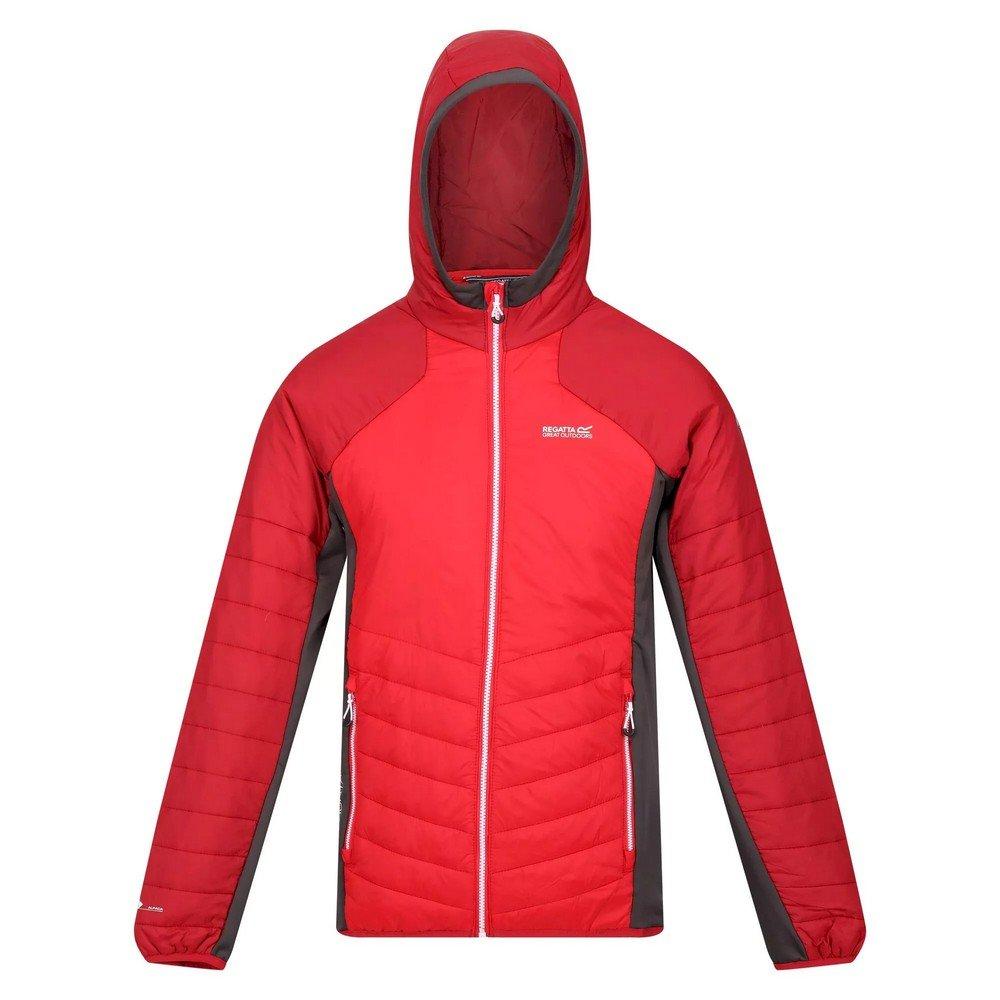 Regatta  Veste softshell TRUTTON 