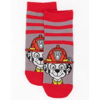 PAW PATROL  Socken  (5erPack) 